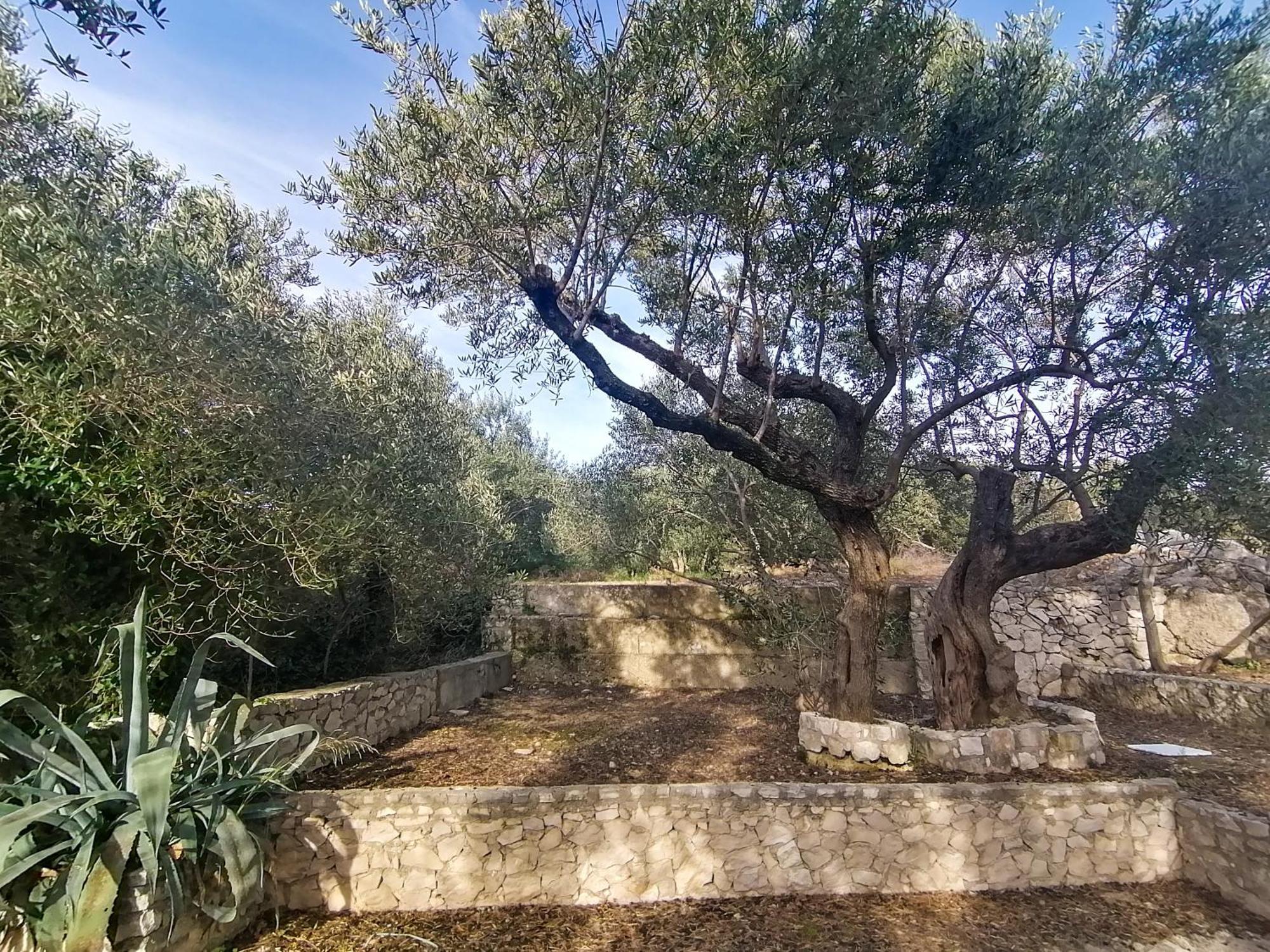Vila Dolani 克勒克 外观 照片