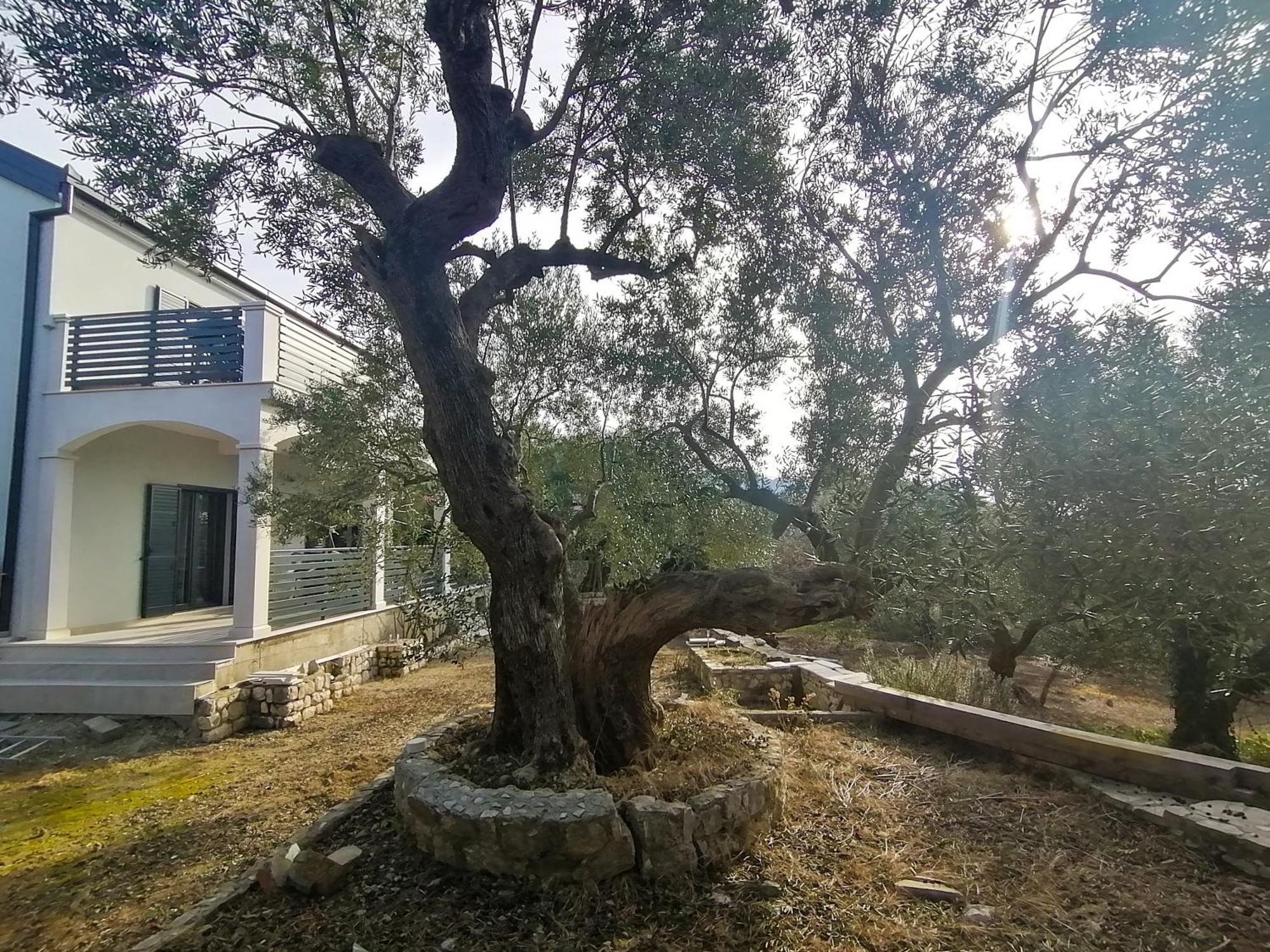 Vila Dolani 克勒克 外观 照片