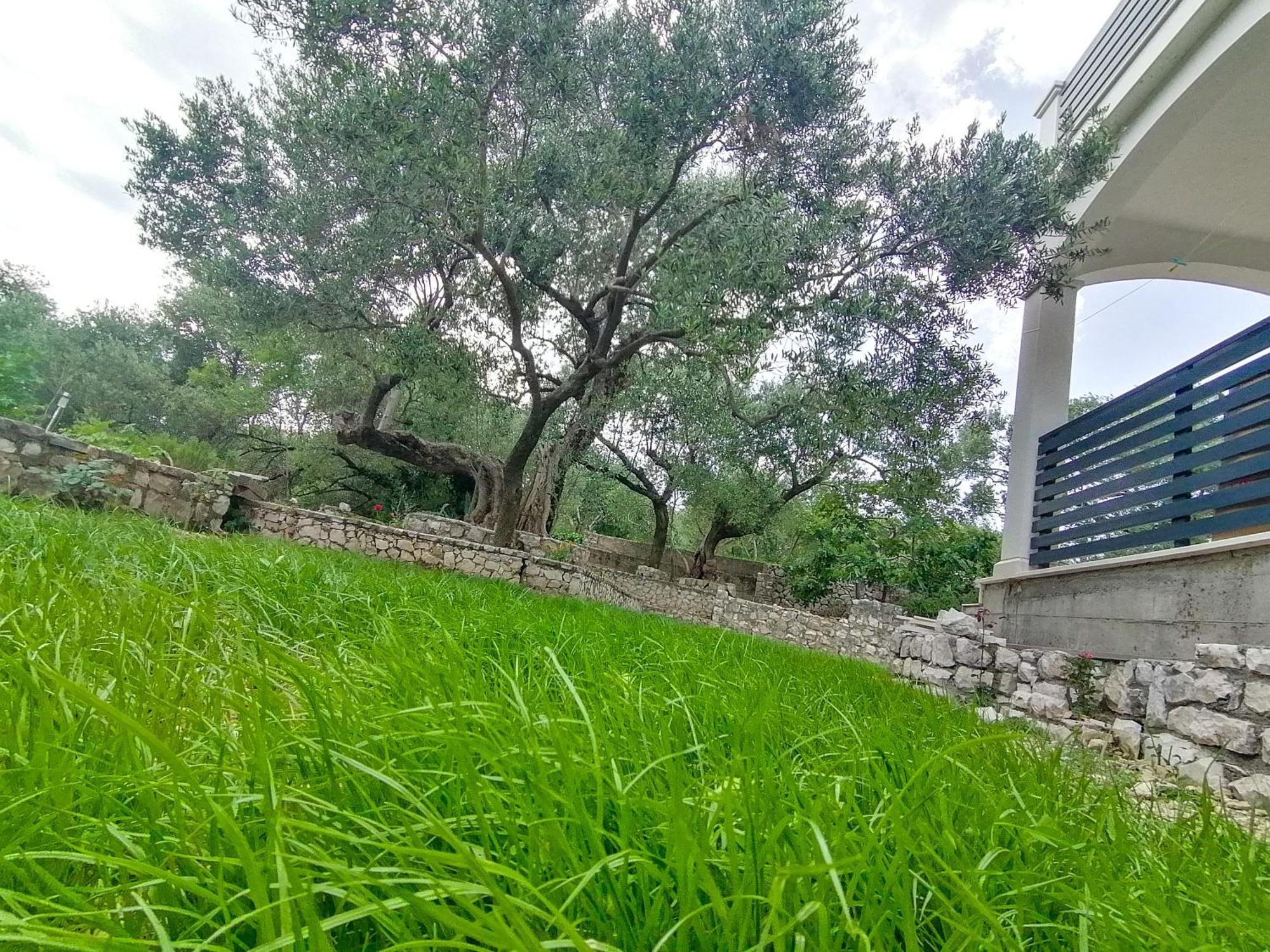 Vila Dolani 克勒克 外观 照片